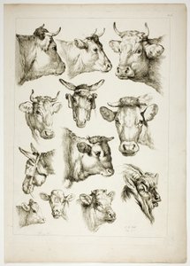 Oeuvres de J. B. Huet