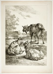 Oeuvres de J. B. Huet