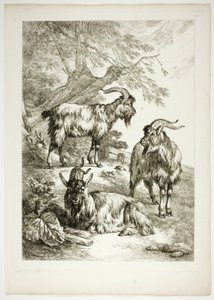 Oeuvres de J. B. Huet
