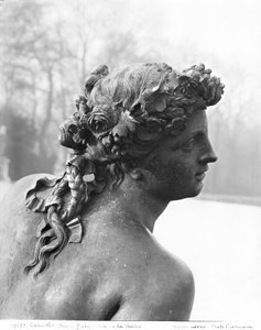 Bahçelerdeki Parterre d