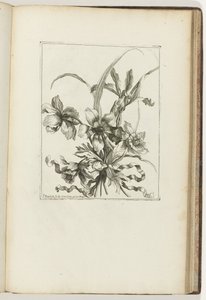 bağlı buket Les Petits Bouquets (seri başlığı) by Jean Baptiste Monnoyer