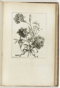 bağlı buket Les Petits Bouquets (seri başlığı) by Jean Baptiste Monnoyer