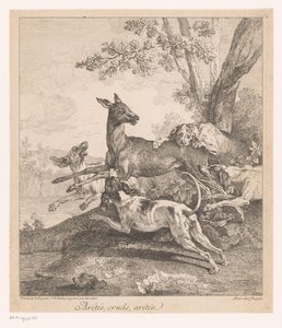 Av köpeklerinin saldırısına uğrayan geyik Arétés, zalimler, arétéz (...) (nesne üzerine başlık) Av sahneleri (dizi başlığı) by Jean Baptiste Oudry