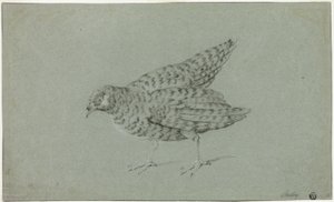 Keklik by Jean Baptiste Oudry