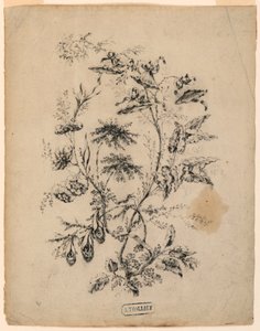  by Jean Baptiste Pillement