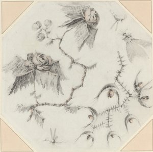 Fantastik Çiçekler ve Böcekler by Jean Baptiste Pillement