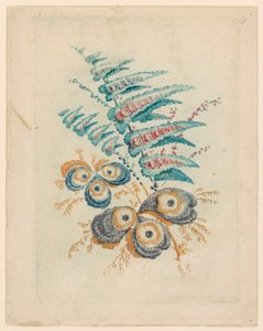 Nouvelle Suitete de Cahiers de Fleurs Idéales