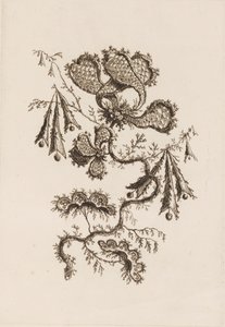 "Fleurs Persanes" den Çiçek Dalı by Jean Baptiste Pillement