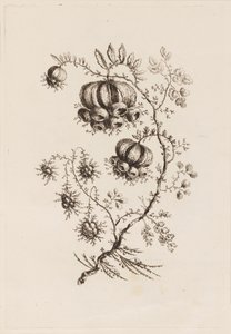 "Fleurs Persanes" den Çiçek Dalı by Jean Baptiste Pillement