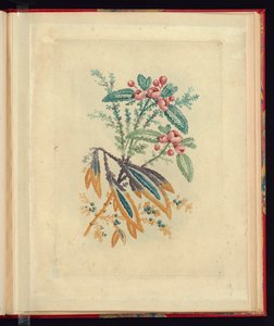 Ressamların ve Ressamların Kullanımına Yönelik Yeni Doğal Çiçek Defterleri Paketinden Küçük Kırmızı Çiçekler ve Meyveler ile Süs Tasarımı, No.1 by Jean Baptiste Pillement