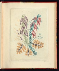 Ressamların ve Ressamların Kullanımına Yönelik Yeni Doğal Çiçek Defterleri Paketinden Üçgen Mor ve Kırmızı Yapraklı Süs Tasarımı, No.1 by Jean Baptiste Pillement