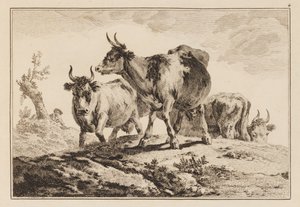 Plaka 4, "Altı Yaprak Öküz ve İnek Defteri"nden by Jean Baptiste Pillement