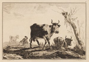 Plaka 5, "Altı Yaprak Öküz ve İnek Defteri" by Jean Baptiste Pillement