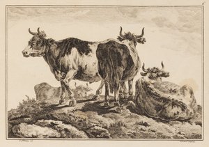 Plaka 6, "Altı Yaprak Öküz ve İnek Defterinden" by Jean Baptiste Pillement