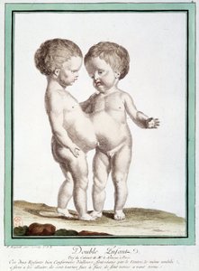 Siyam çocukları - Régnault