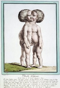 Siyam çocukları - Régnault
