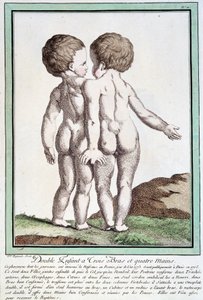Siyam çocukları - Régnault
