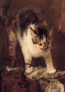 Balık, istiridye, sürahinin natürmort pateni. Kedi detayı. Jean Baptiste Simeon Chardin (1699-1779) 1727 Sun tarafından tablo. 1,14 x 1,46 m Paris. Louvre müzesi by Jean Baptiste Simeon Chardin