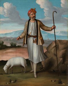Arnavut çoban