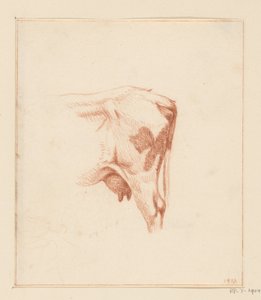 Bir ineğin arka bacakları by Jean Bernard