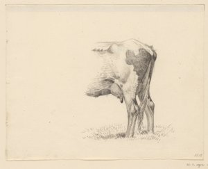 Bir ineğin arka bacakları by Jean Bernard
