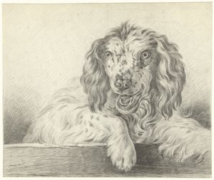 Köpek by Jean Bernard