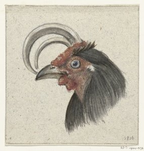 Bir horoz başkanı by Jean Bernard