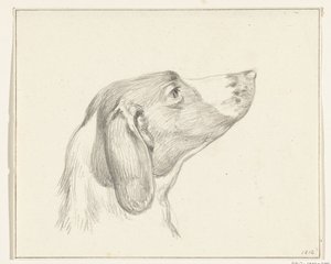 Bir köpeğin başı, sağda by Jean Bernard
