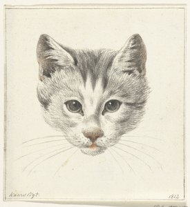 Mum ışığında önden görülen bir kedinin başı by Jean Bernard