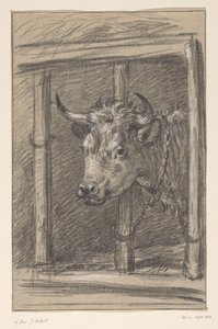 Bir ineğin başı, bir ahırın parmaklıkları arasından by Jean Bernard