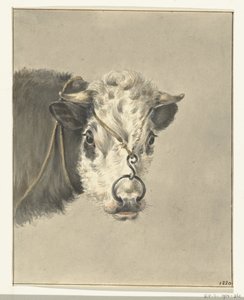 Önden burnundan bir halka olan bir inek başı by Jean Bernard