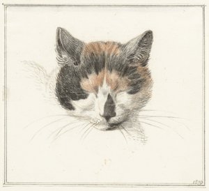 Bir patiska kedinin başı, önden gözleri kapalı by Jean Bernard