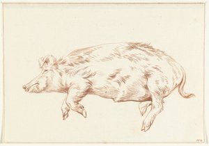 Yalancı domuz, sola by Jean Bernard