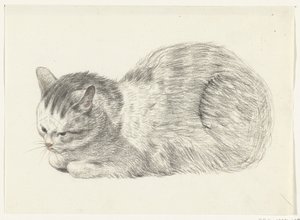 Yalancı kedi, sola by Jean Bernard