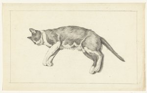 Yukarıdan görülen kedi, solda, yalancı by Jean Bernard