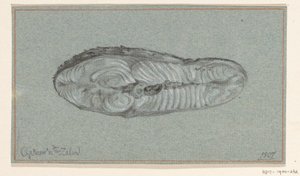 Müslüm pişmiş somon by Jean Bernard