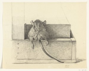 Fare (bir tuzakta mı?) by Jean Bernard