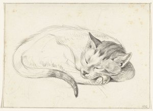 Kıvrılmış, uyuyan kedi by Jean Bernard
