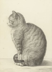 Oturan kedi, solda. 1815
