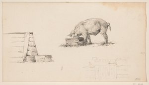 Domuz, bir kalem ve bir çit taslağı by Jean Bernard