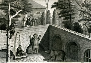 Hayvanat bahçesinde ayı ini by Jean-Charles Werner