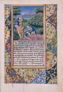 Bayan Lat. Q.v.I.126 fol.17 Nuh