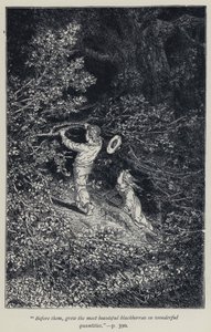 "Onlardan önce, harika miktarlarda en güzel böğürtlenler yetiştirildi" (gravür) by Jean Edouard Dargent