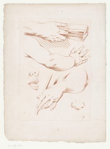 Kollar, burun ve yüzün bir kısmı ile kompozisyon İnsan vücudunun parçalarını içeren kompozisyonlar (dizi adı) by Jean Francois Janinet