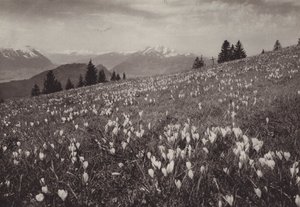 Rigi Kaltbad, Fruhling (s/b fotoğraf) by Jean Gaberell