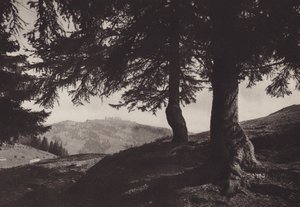 Rigi Staffel, Staffel