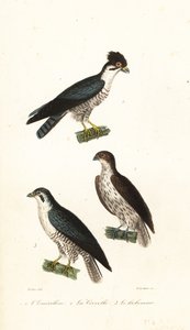 Bilinmeyen resim