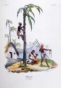 Çanar, 1828 by Jean Henri Marlet
