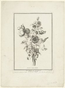 Anemon ve gündüzsefası buketi Anemon basitleri, Volubilis (nesne üzerindeki başlık) IIe Cahier de Bouquets (dizi adı) by Jean Jacques Avril (I)
