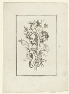 Nergis ve gündüzsefası buketi Narcissus, Volubilis (nesne üzerindeki başlık) IIe Cahier de Bouquets (dizi adı) by Jean Jacques Avril (I)